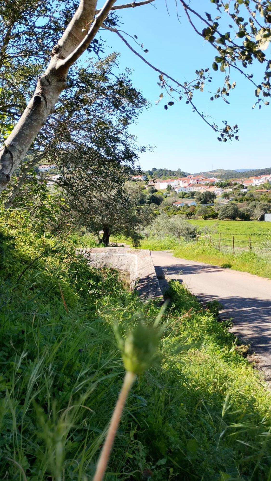 Paraiso Da Aldeia São Bartolomeu de Messines Esterno foto